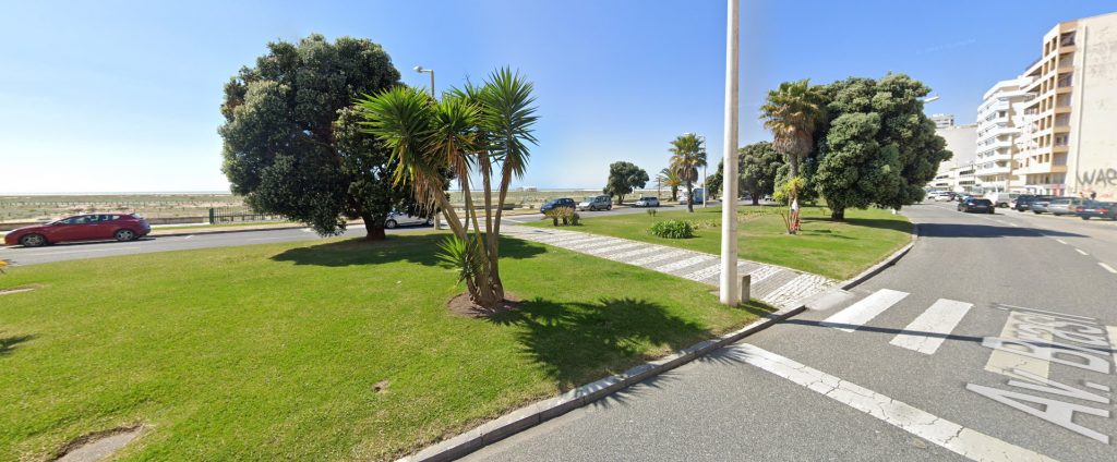 Seafront avenue in Figueira da Foz with a grassy median, palm trees, and apartment buildings near the beach